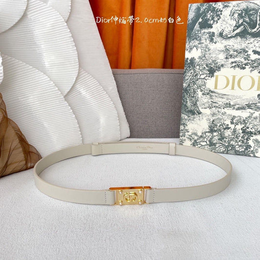 Dior belt