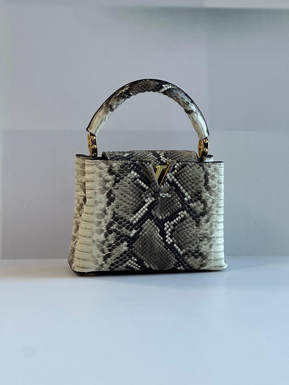 Lv bag capucines