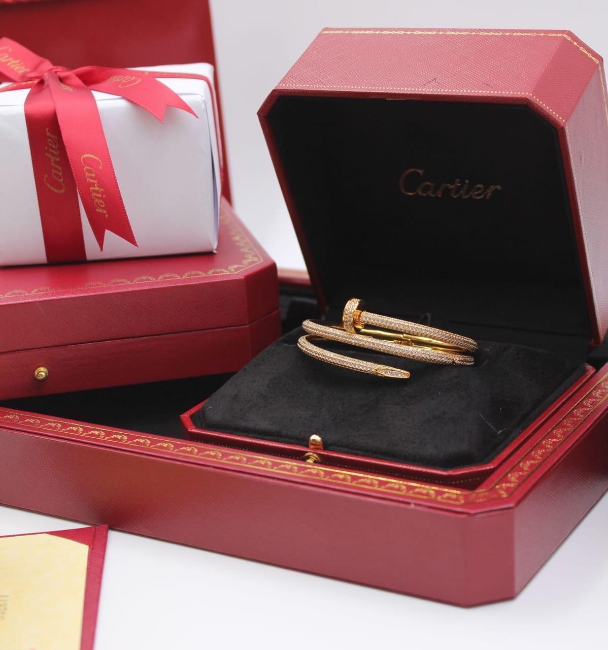 Catier bangle - pin bangle