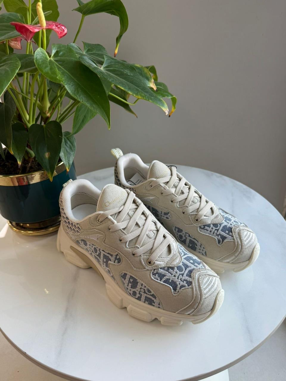 Dior sneakers