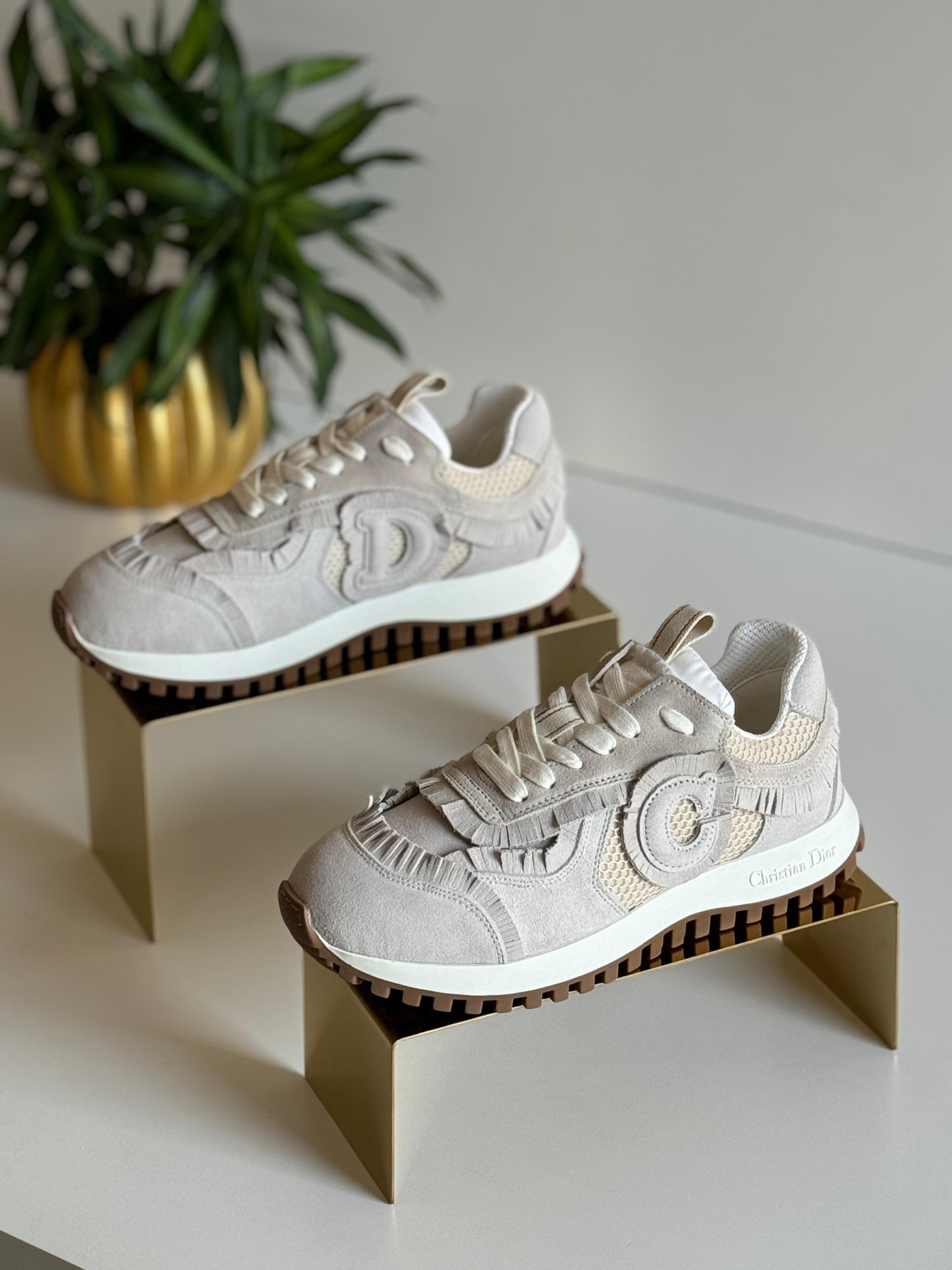 Dior sneakers