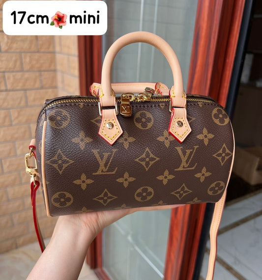 Lv bag