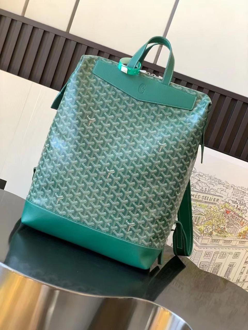 Goyard bag - backpack