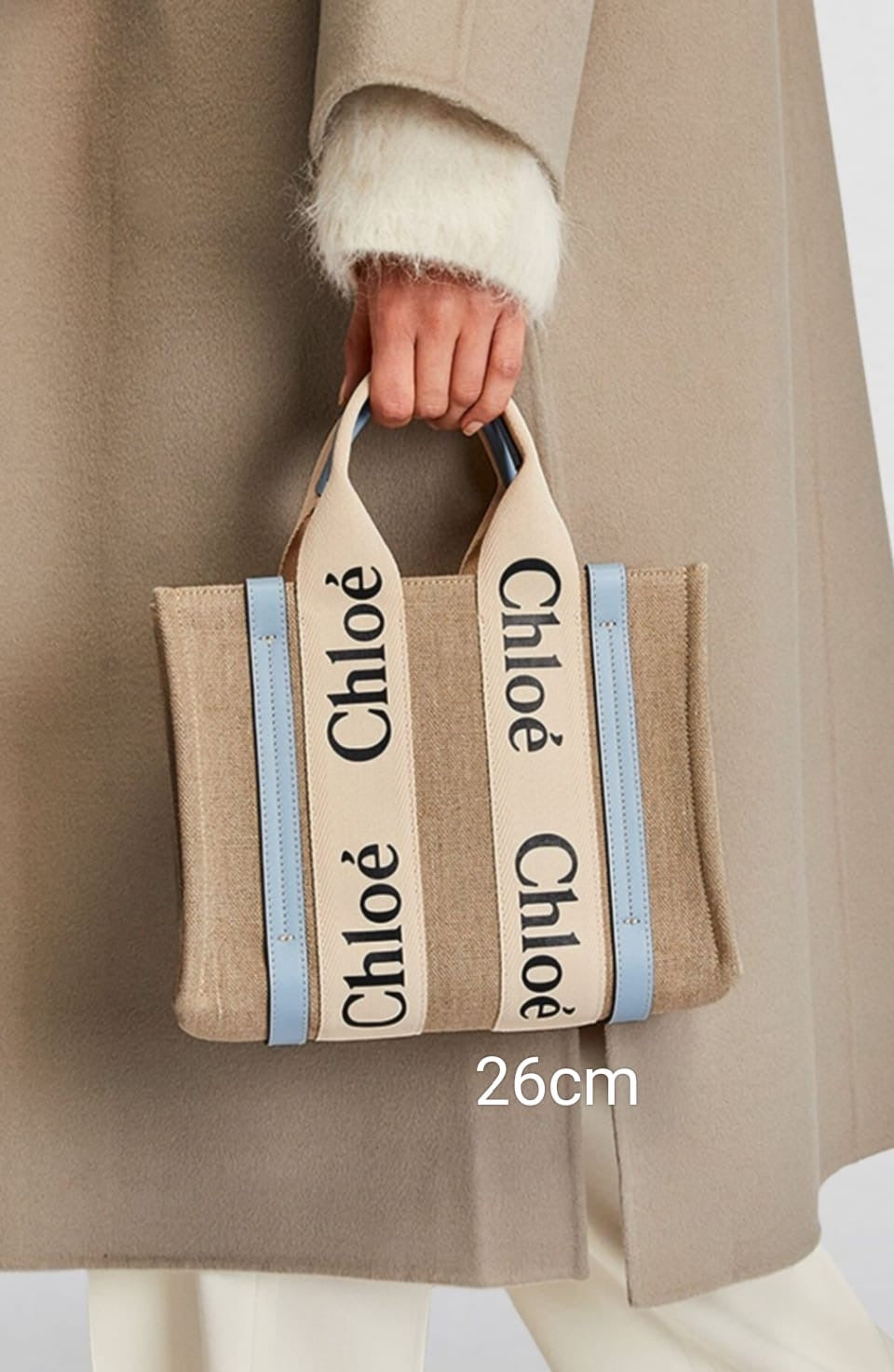 Chloe bag