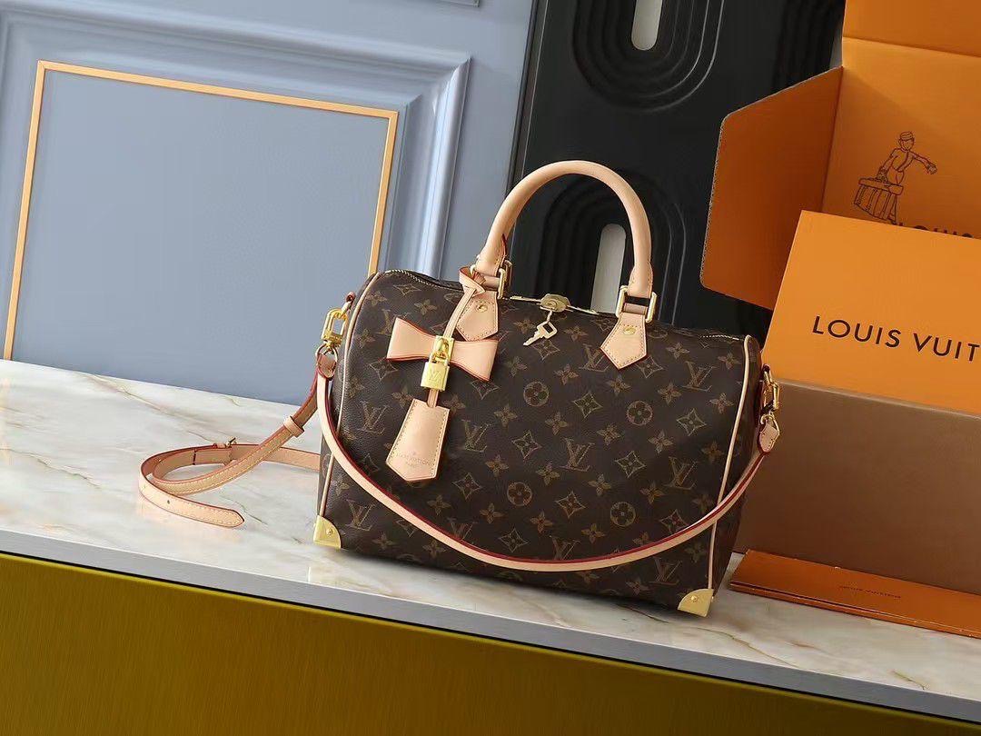 Lv bag