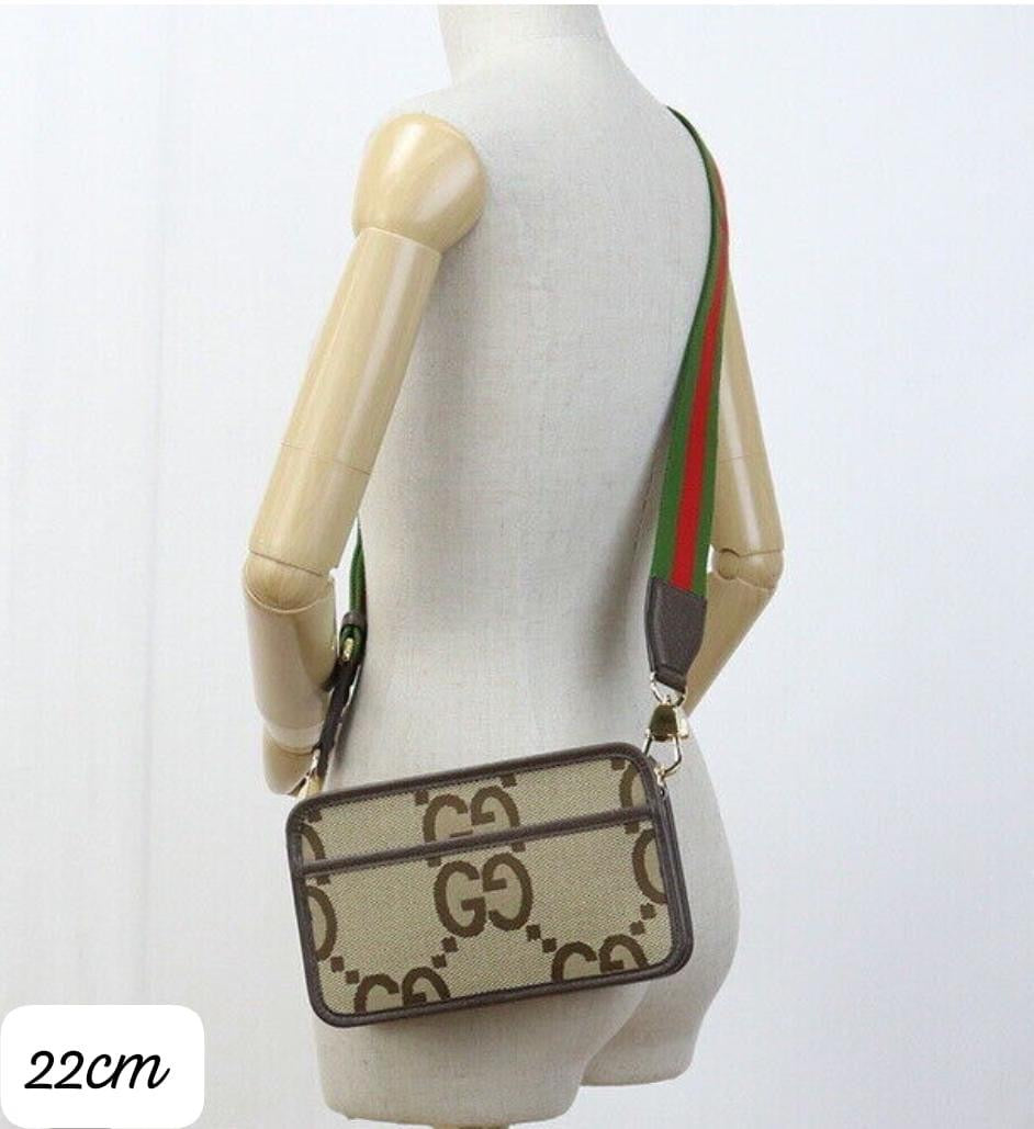 Gucci bag