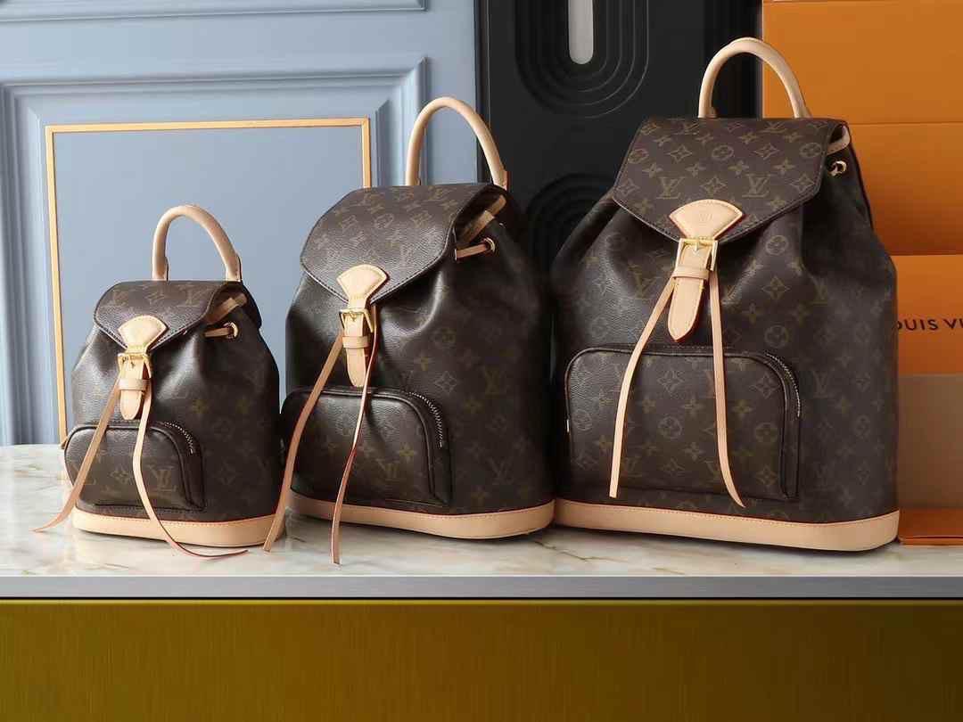 Lv bag - backpack