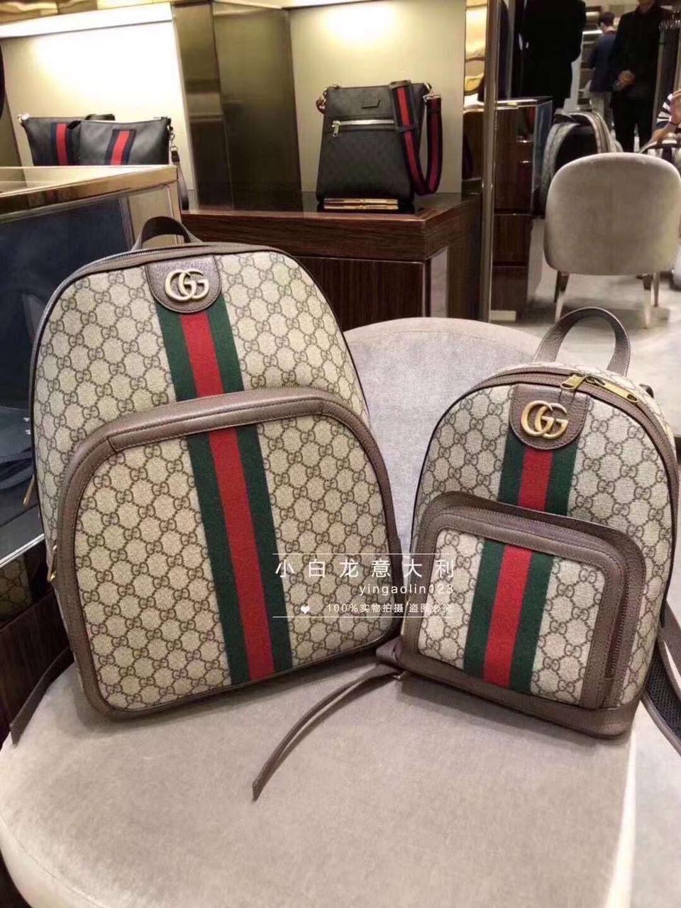 Gucci bag - backpack