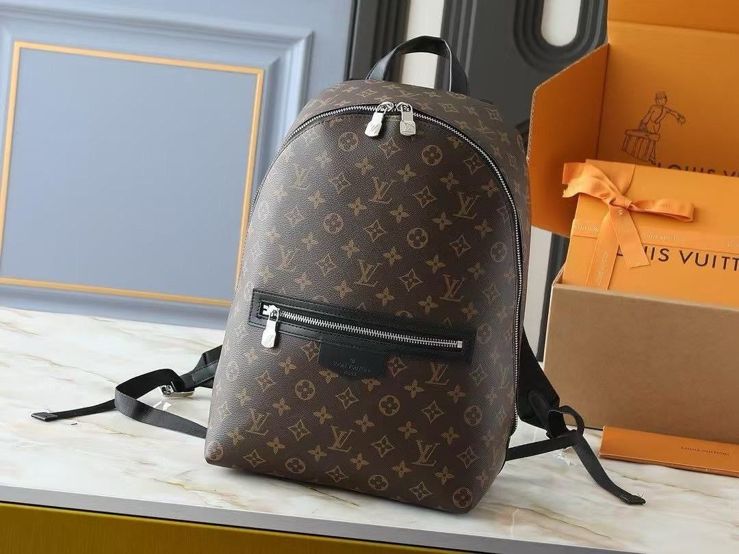 Lv bag - backpack