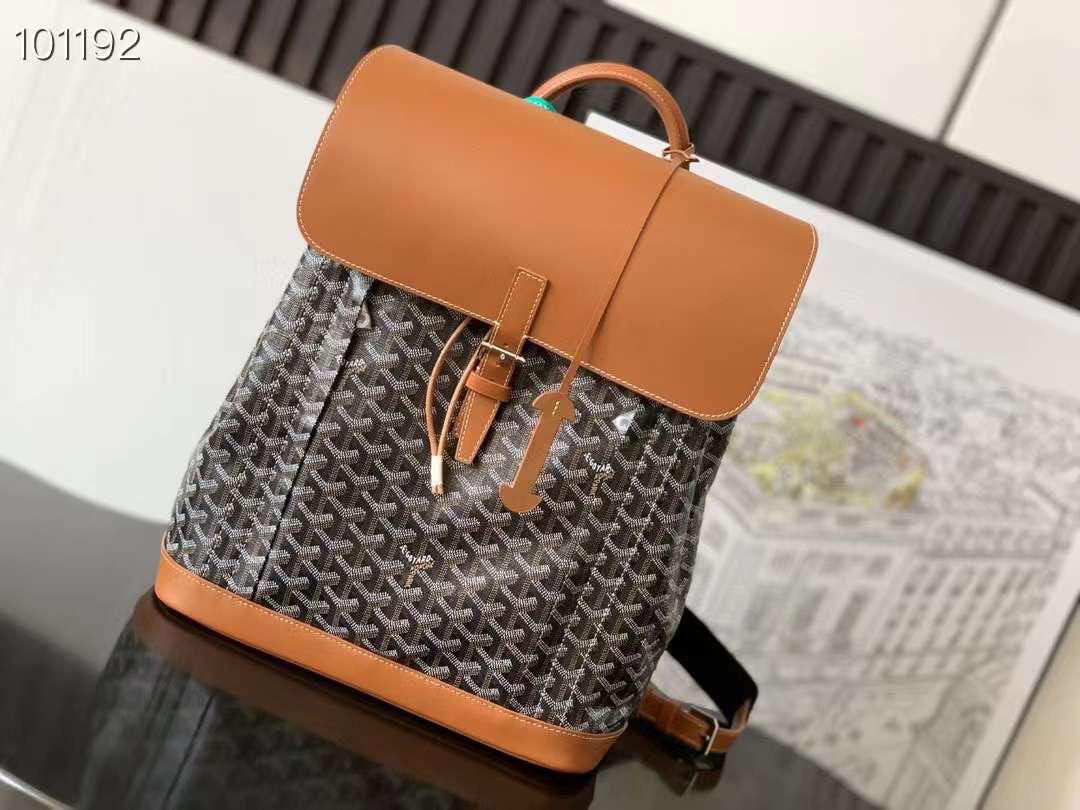 Goyard bag - backpack