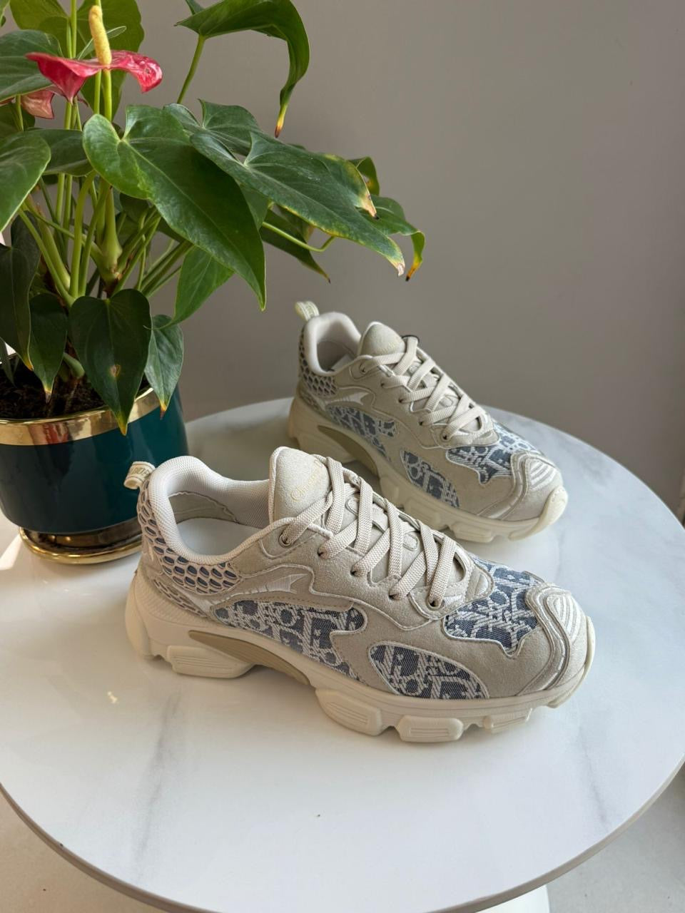 Dior sneakers