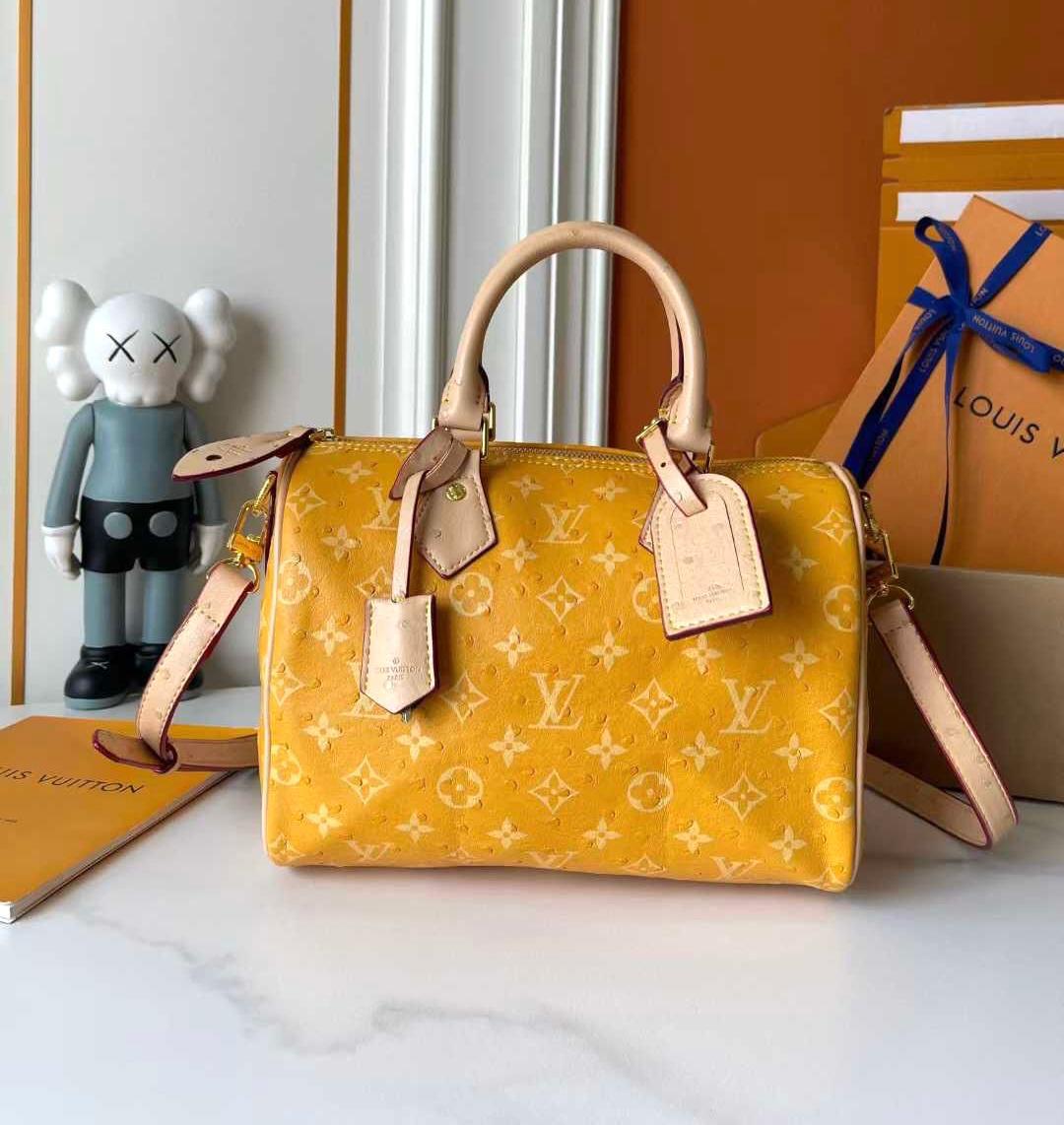 Lv bag