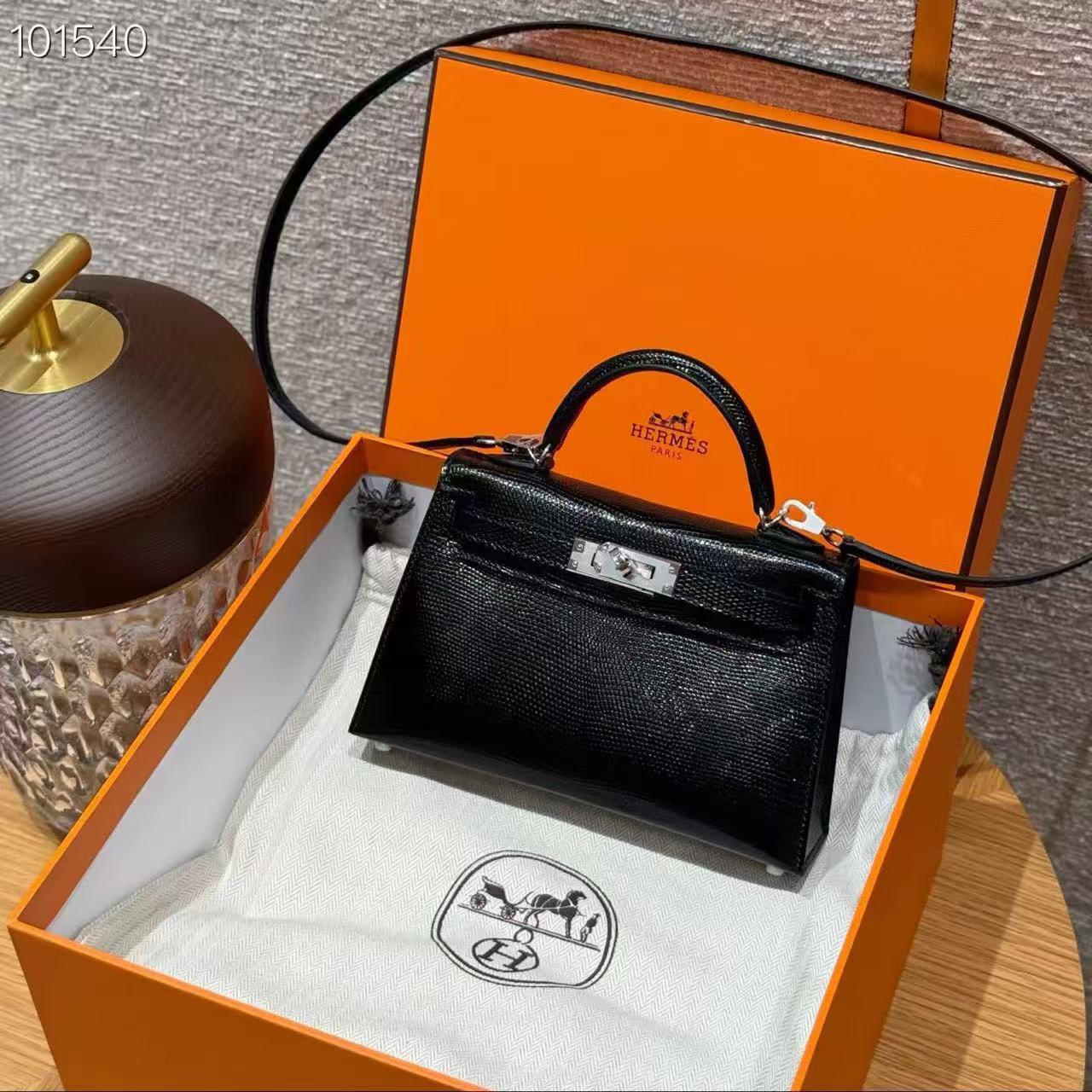 Hermes bag mini kelly lizard