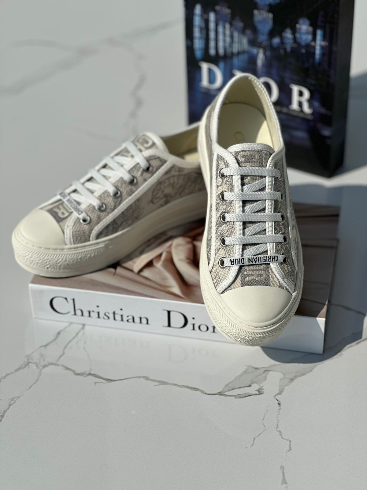 Dior sneakers