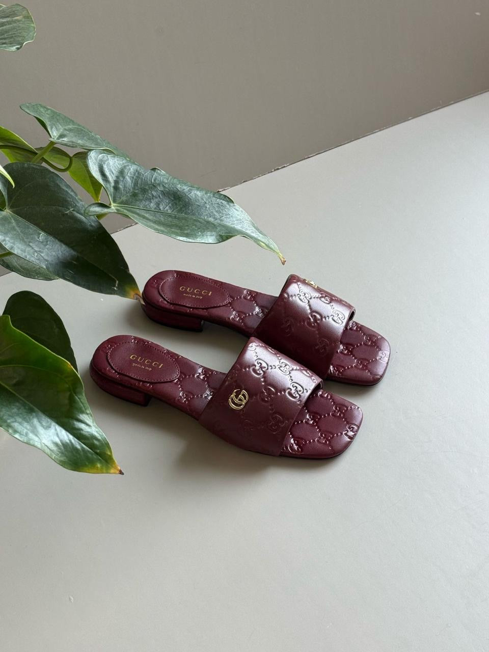 Gucci slippers