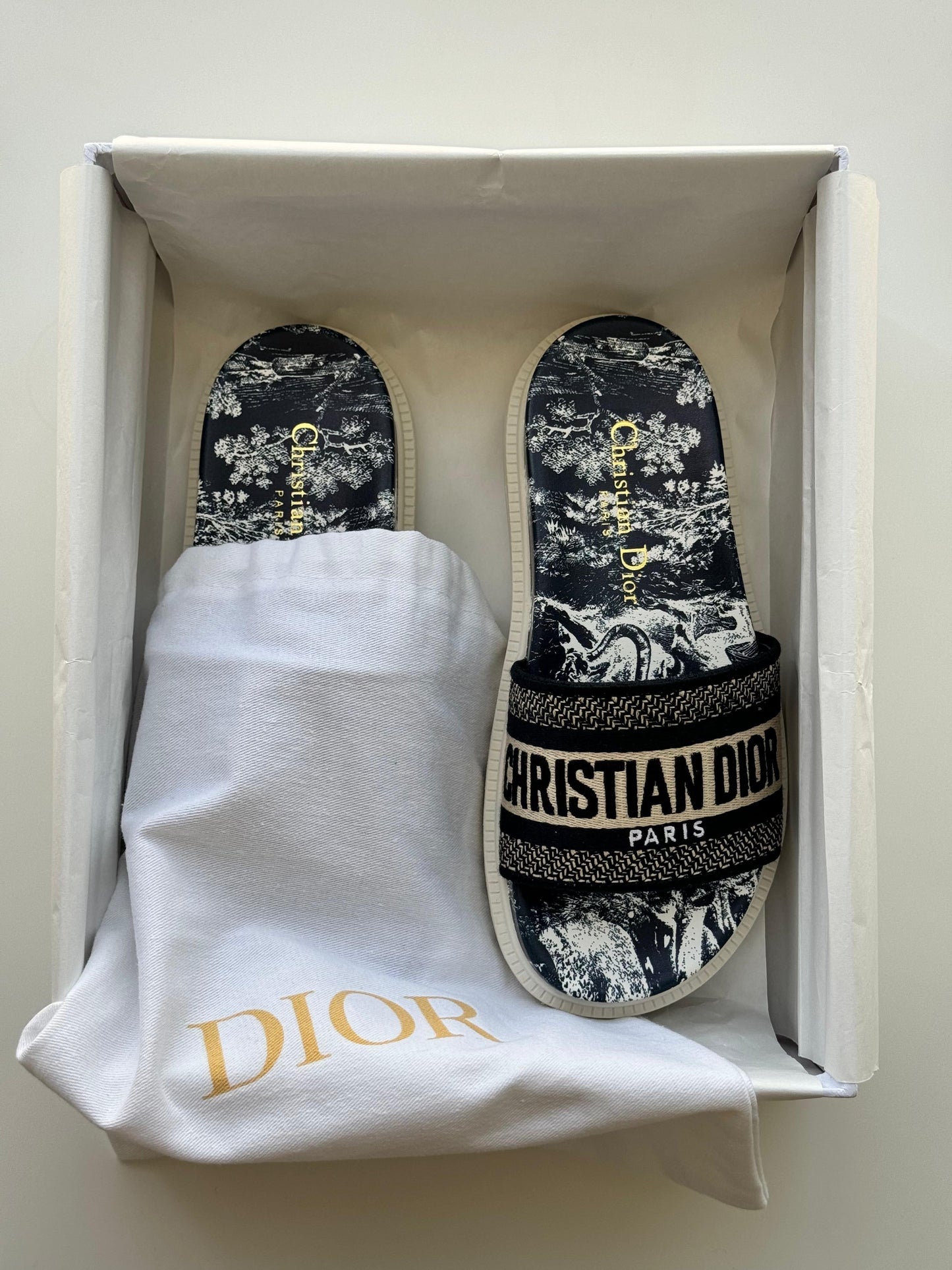 Dior slippers