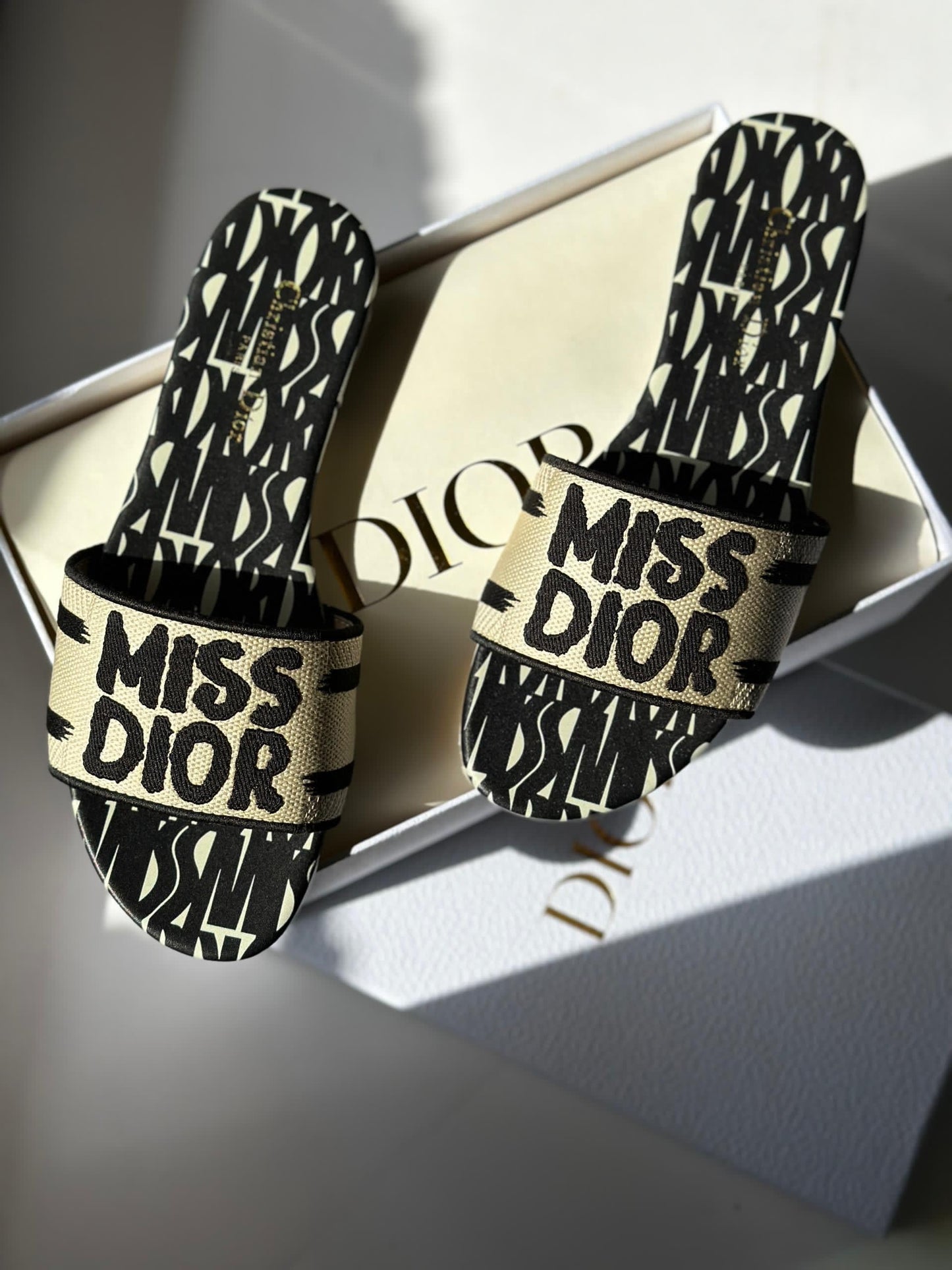 Dior slippers