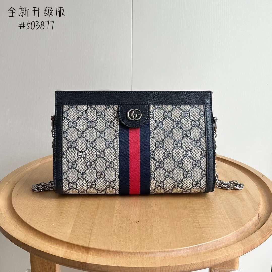 Gucci bag - pouch