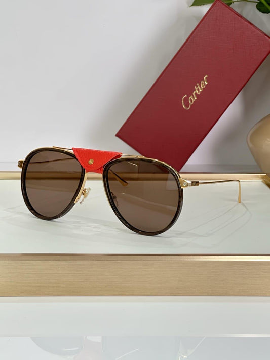 Cartier sunglasses