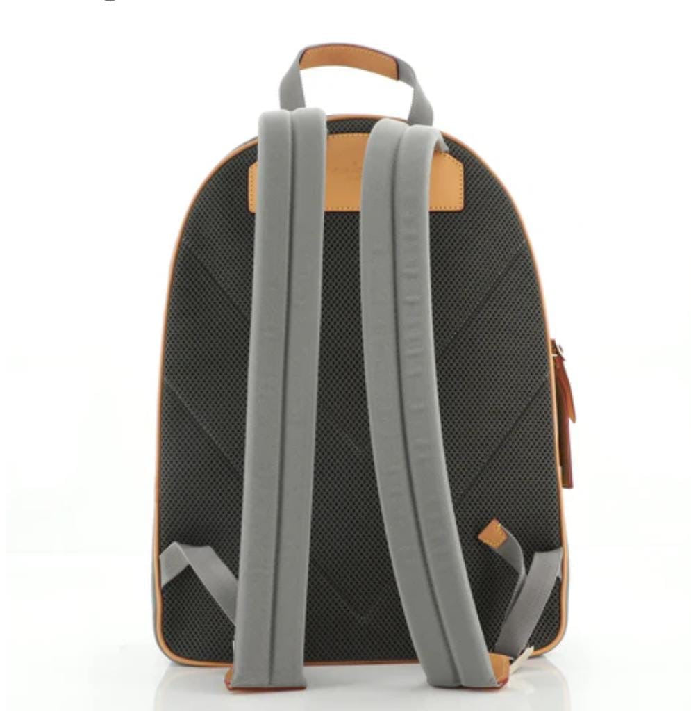 Lv bag backpack