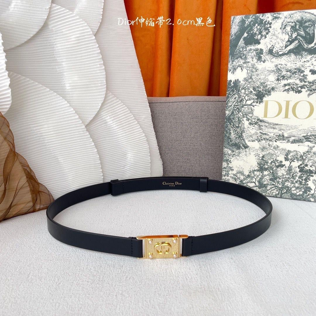 Dior belt