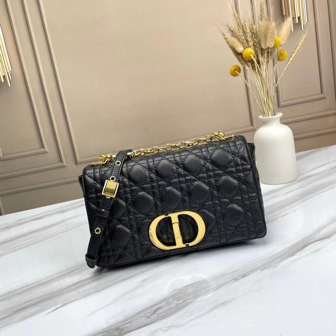 Dior bag medium