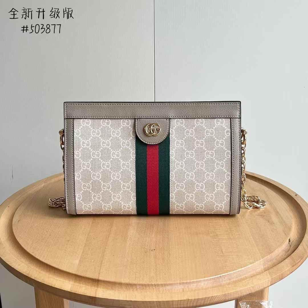 Gucci bag - pouch