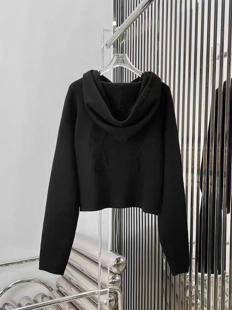 Loewe hoodie