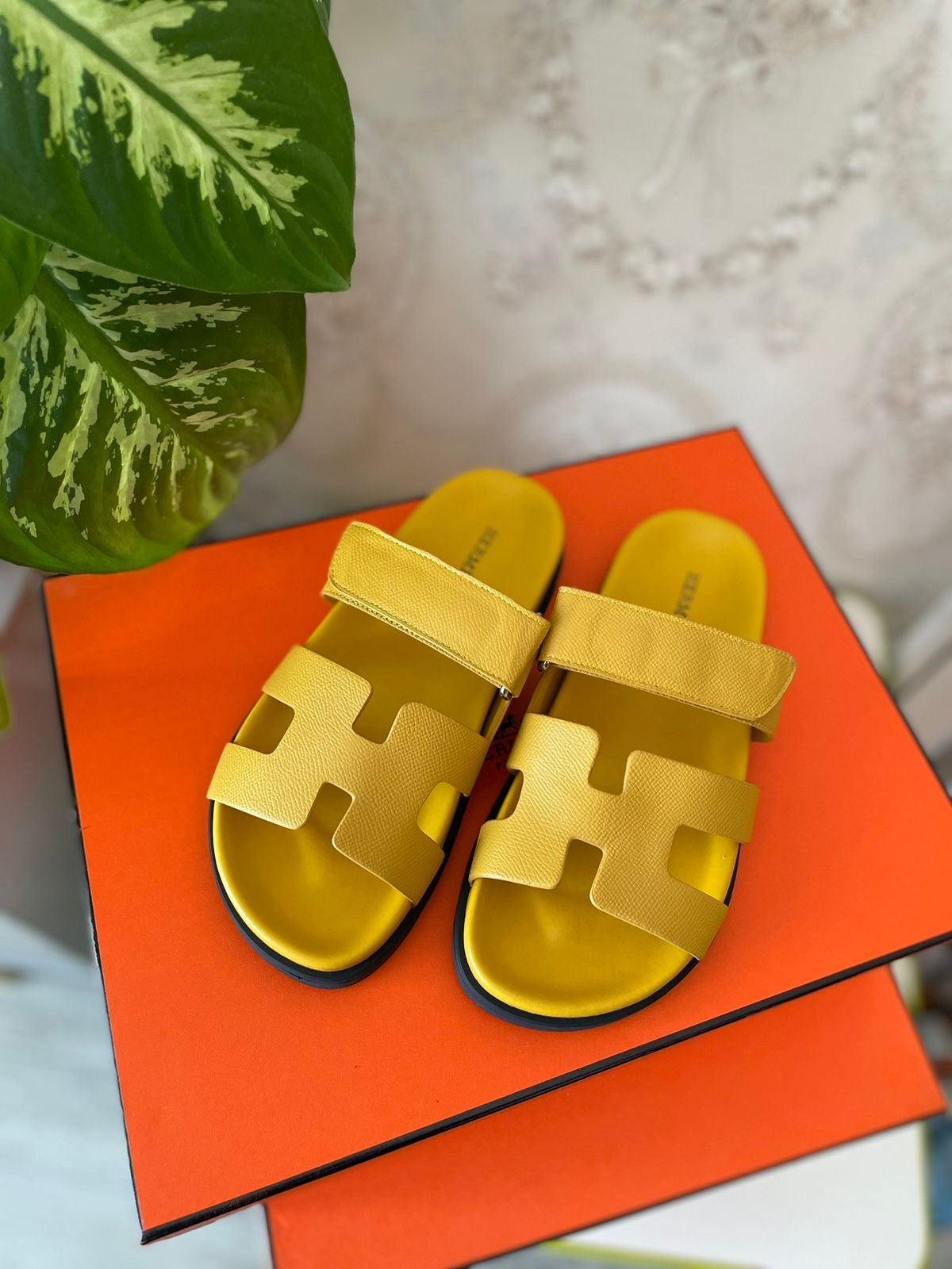 Hermes slippers chypre