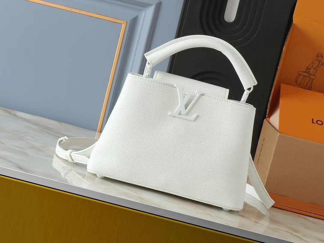 Lv bag capucines
