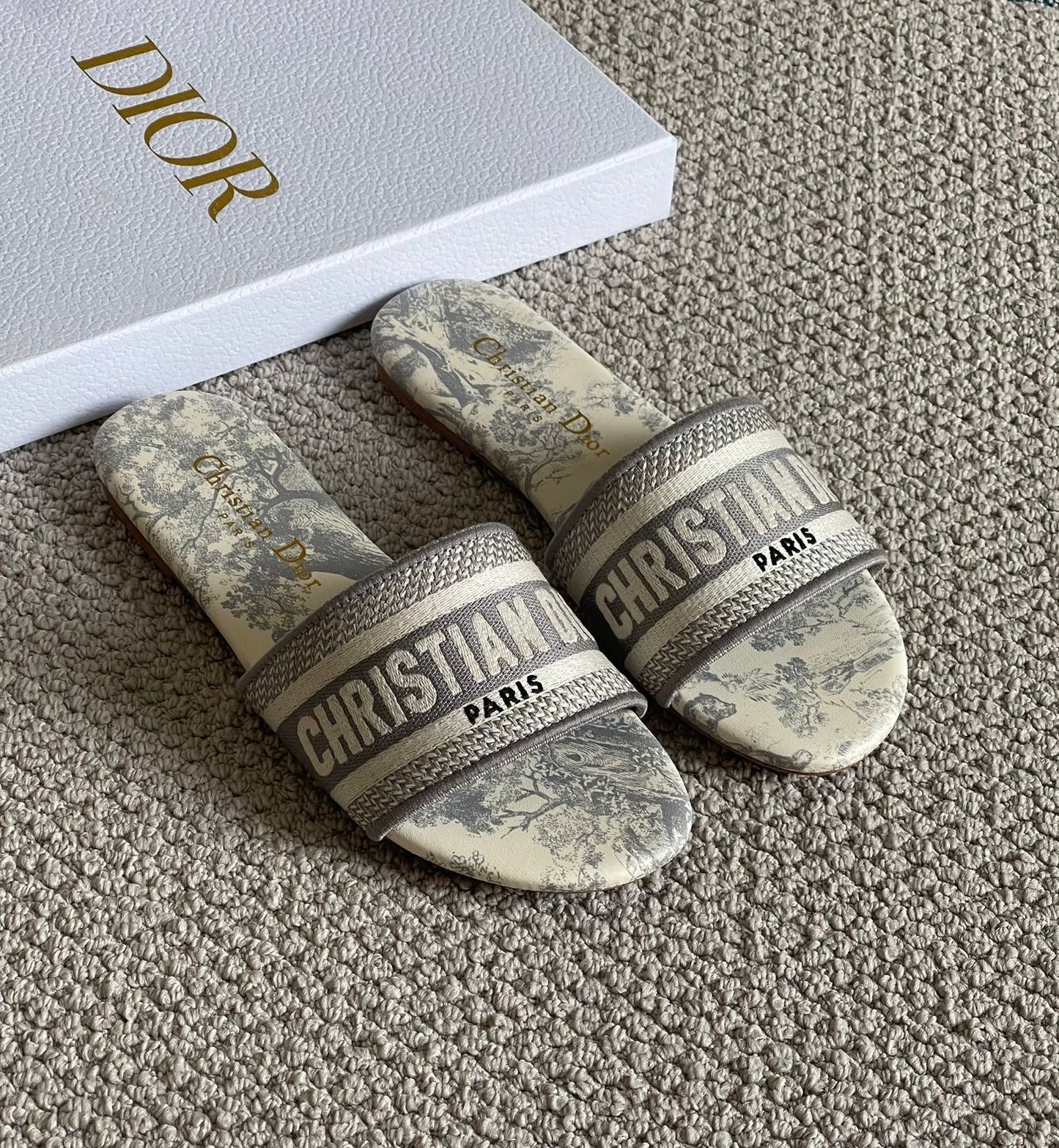 Dior slippers