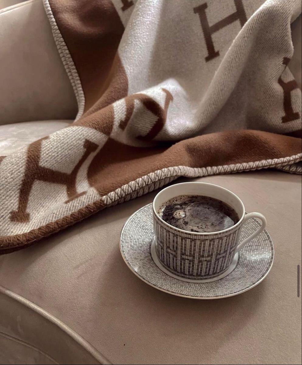 Hermes blanket & pillow cover