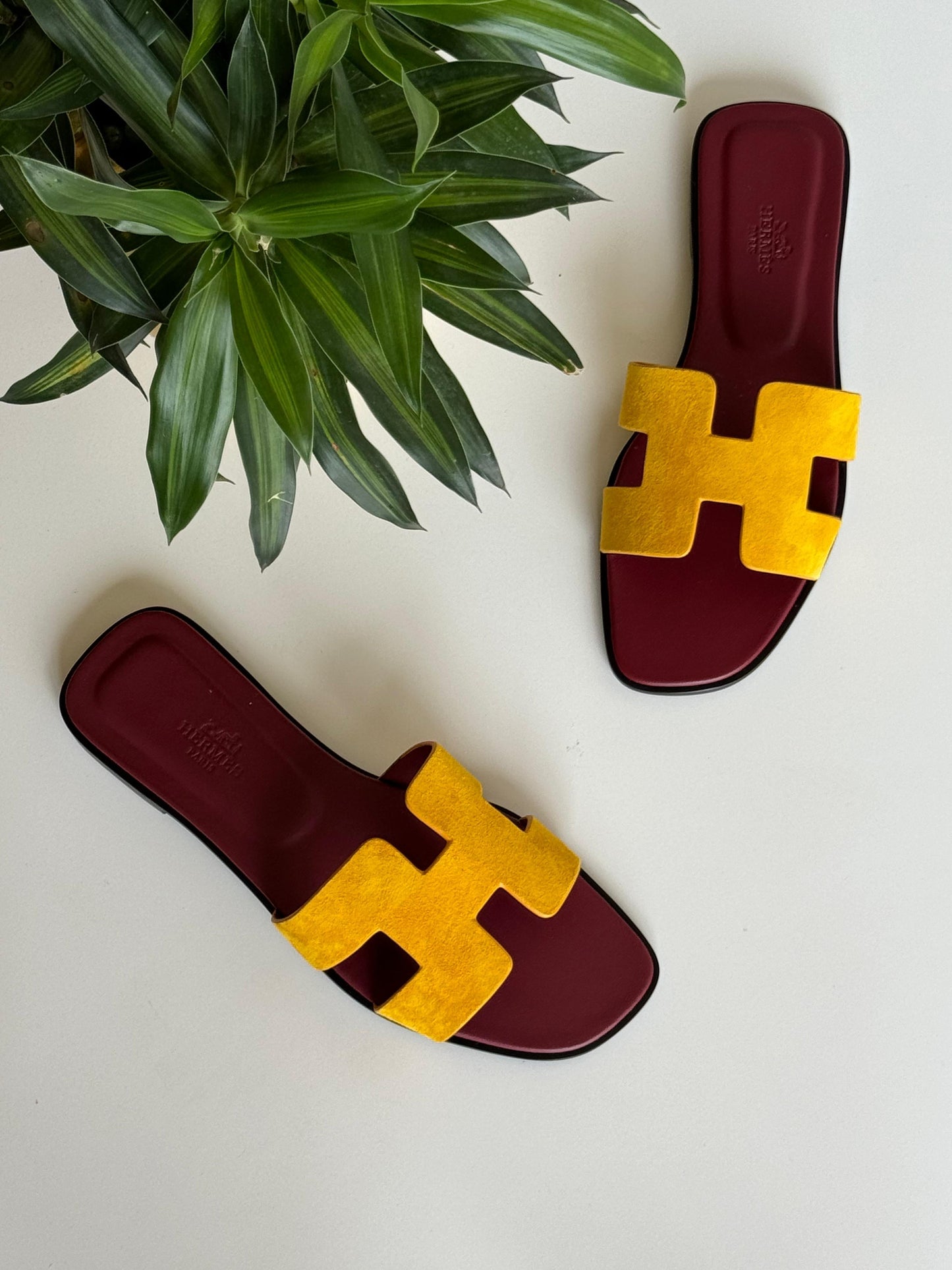 Hermes slippers