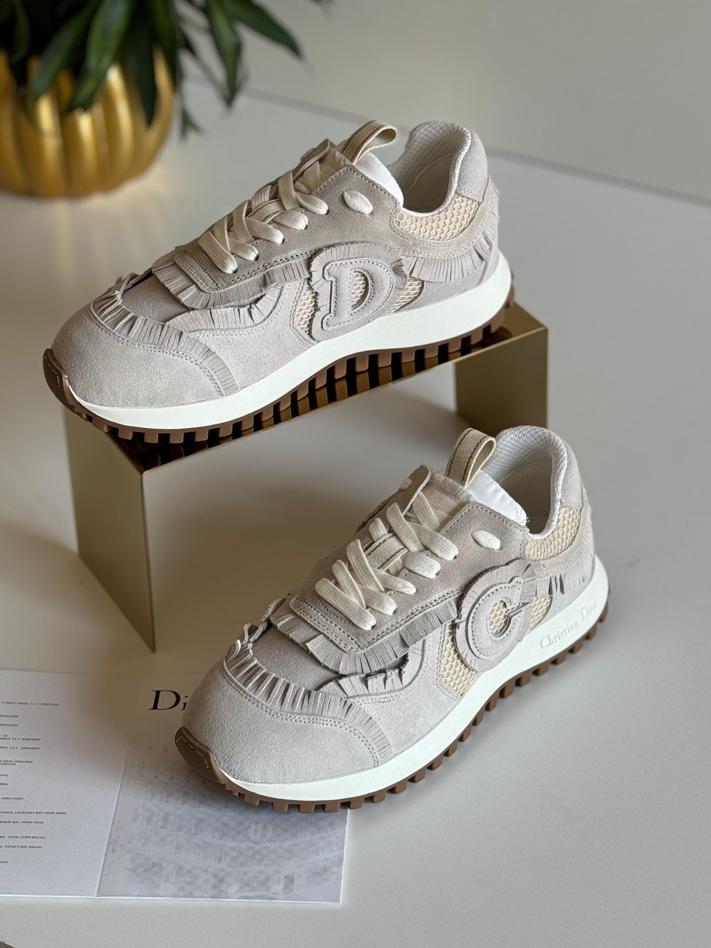 Dior sneakers