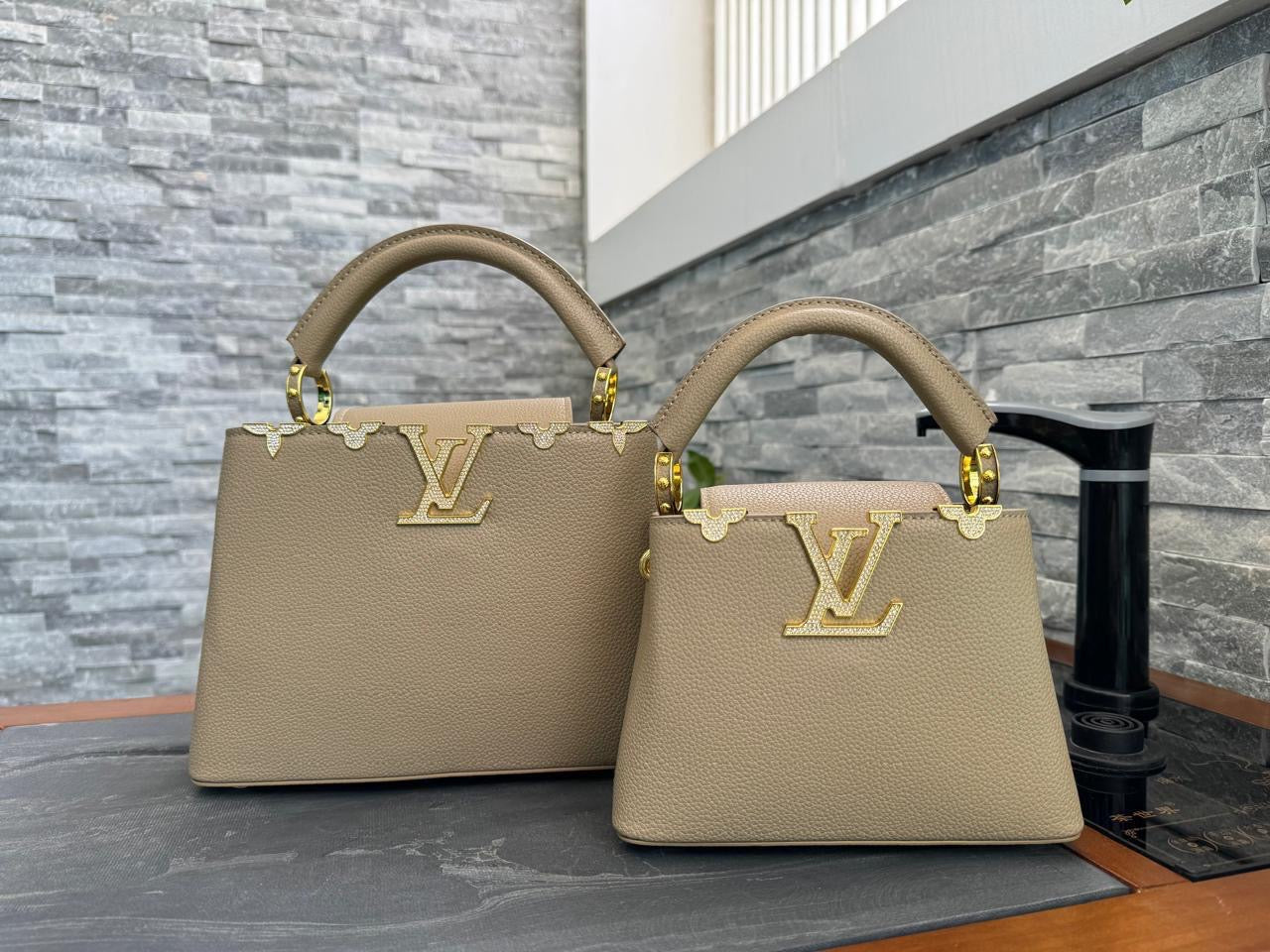 Lv bag capucines