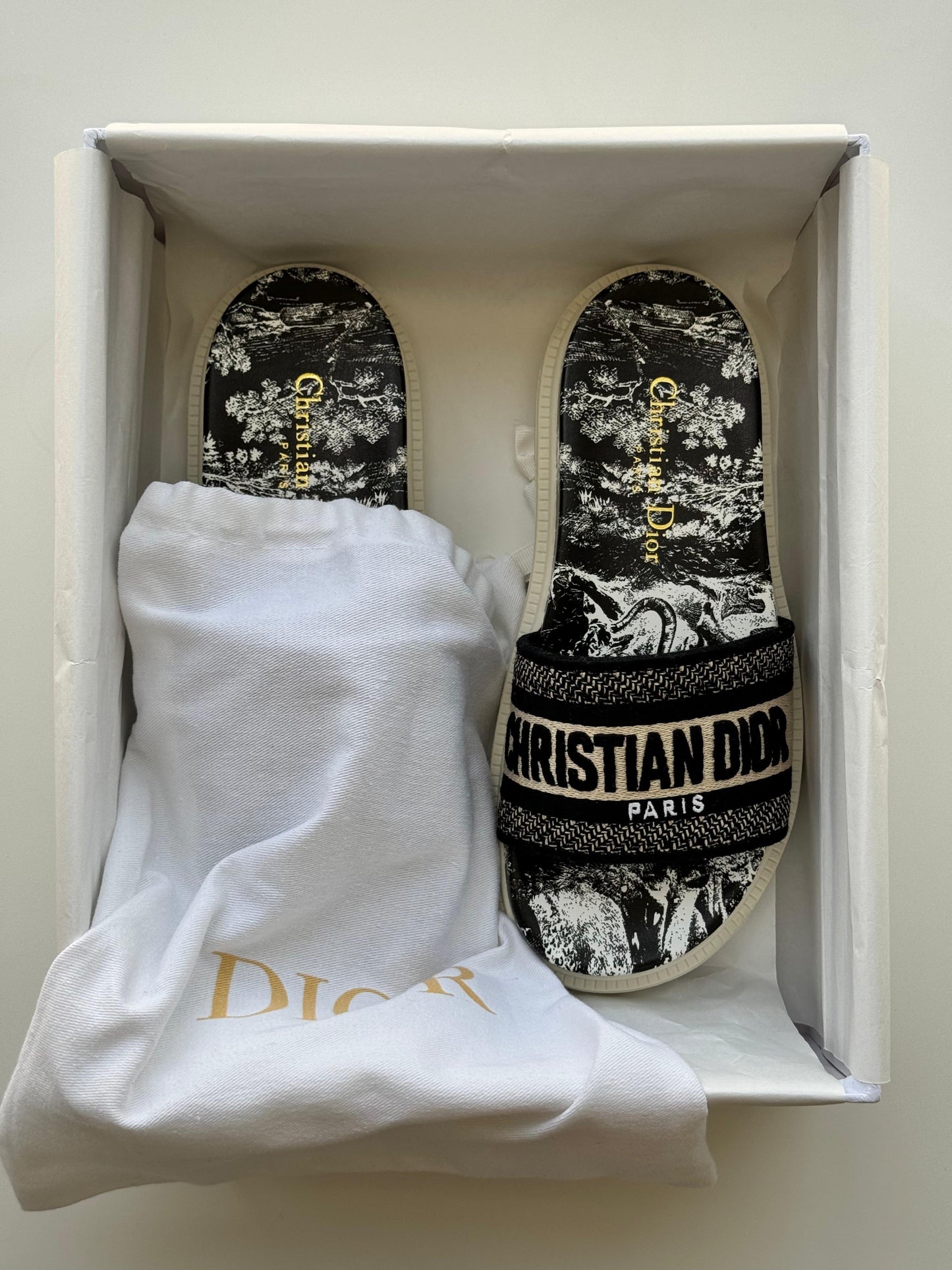 Dior slippers