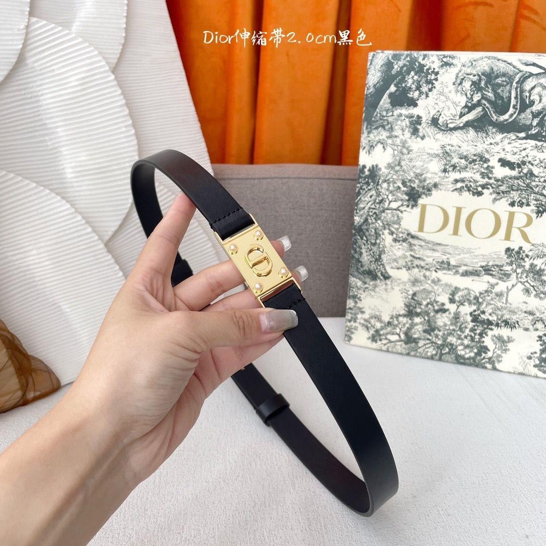 Dior belt