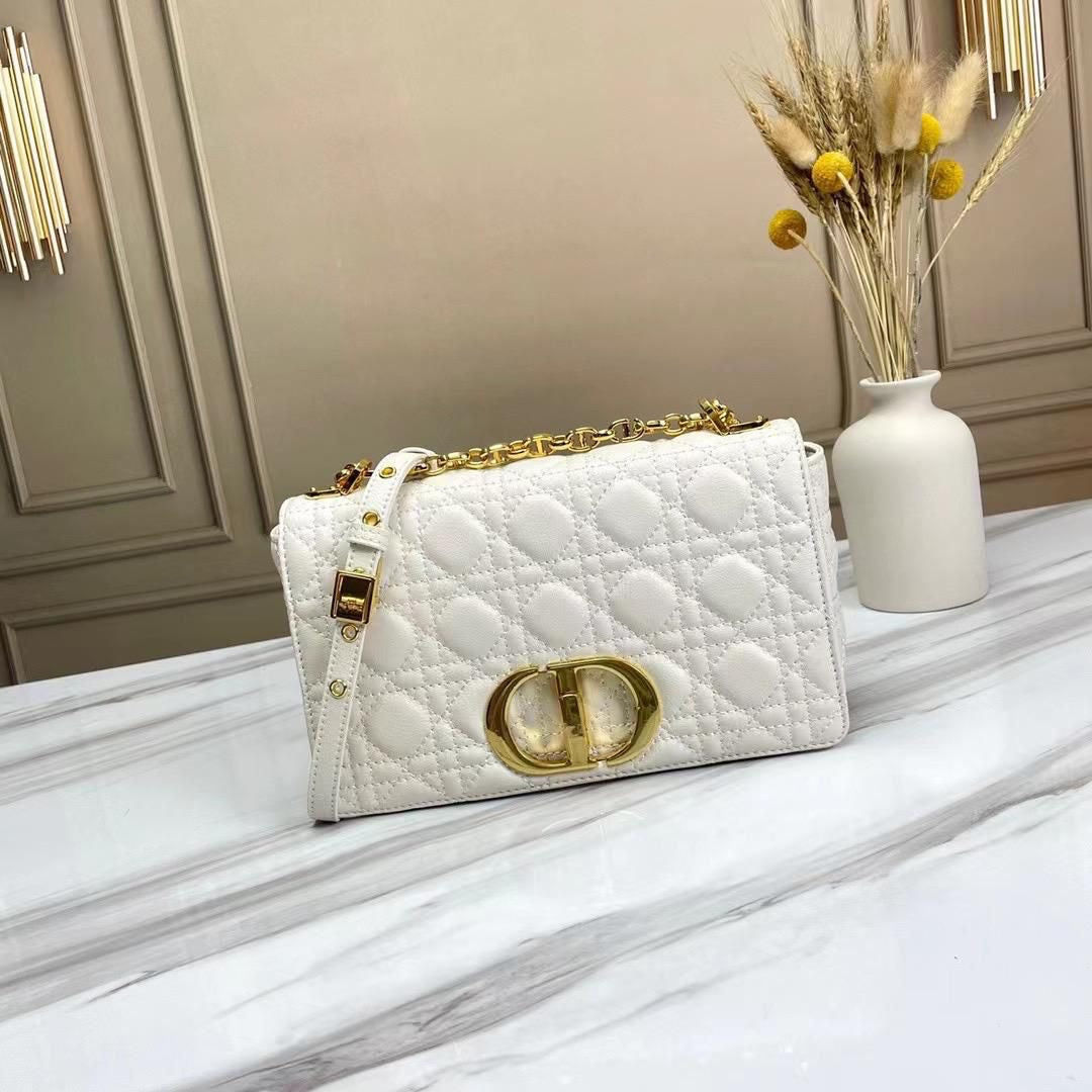 Dior bag medium