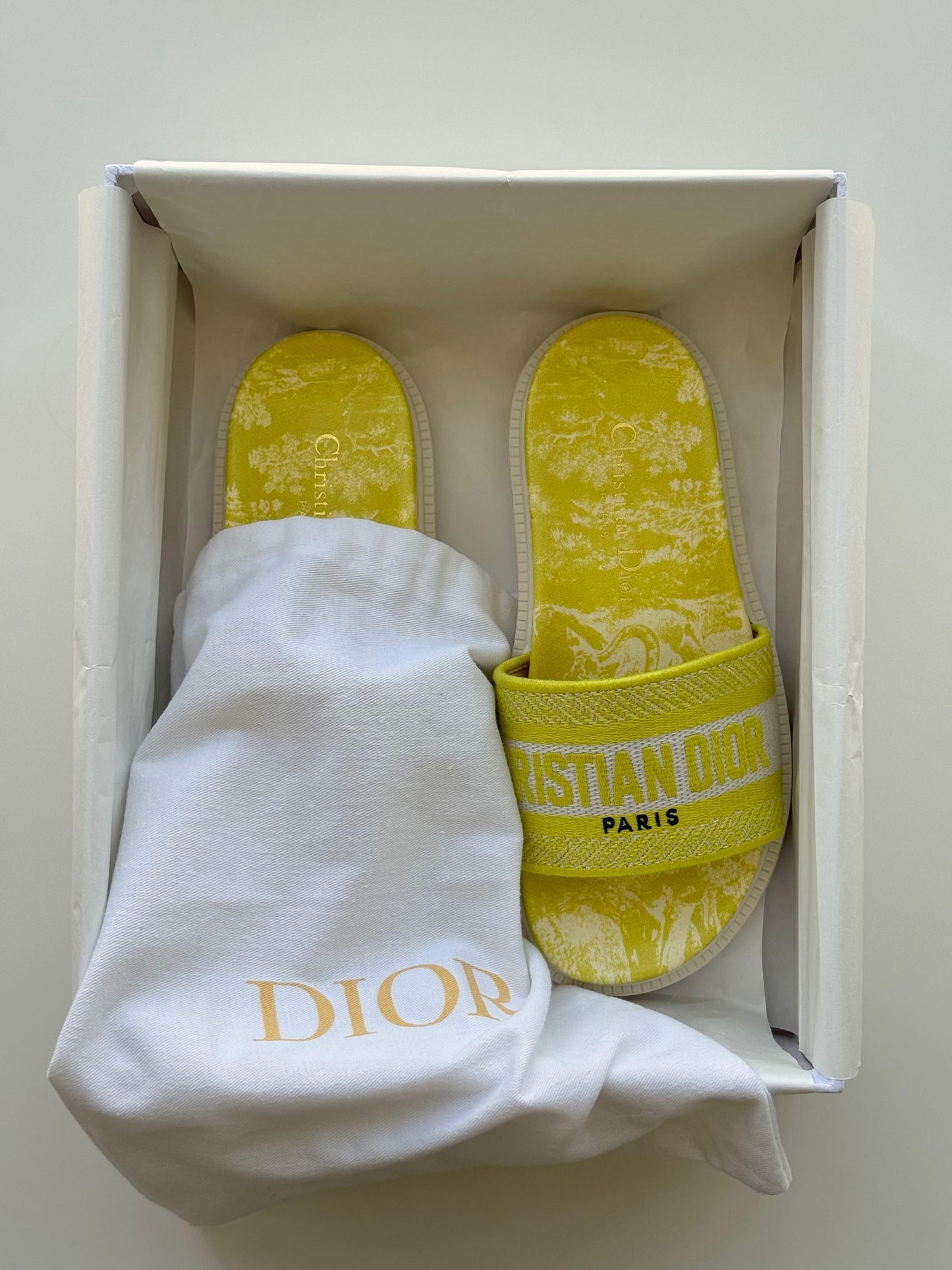 Dior slippers