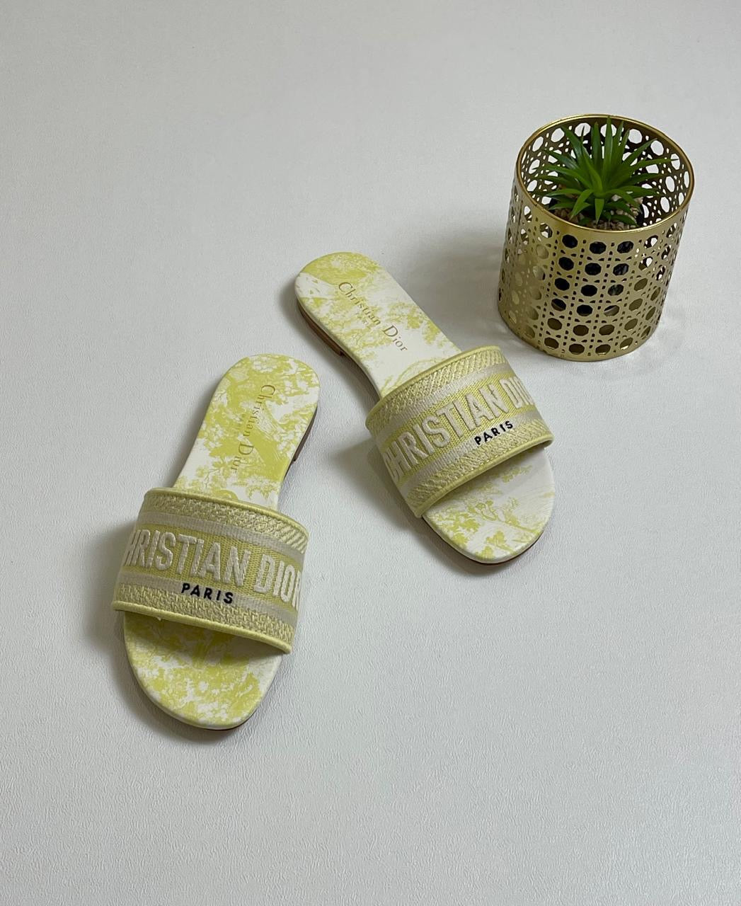 Dior slippers