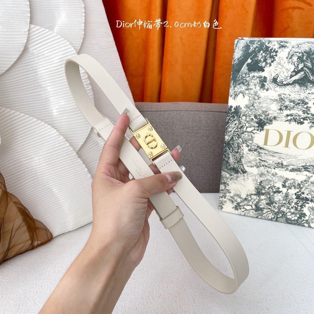 Dior belt