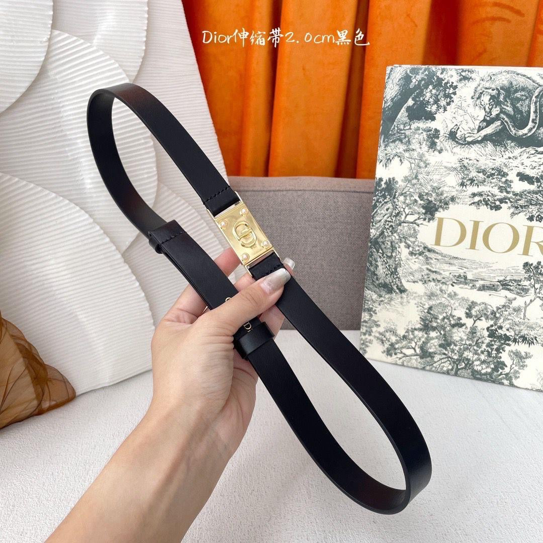 Dior belt