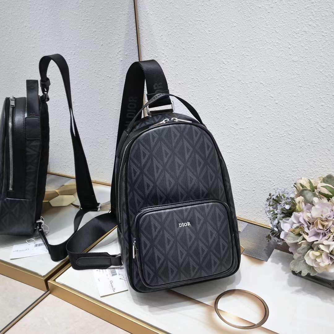 Dior back packback men