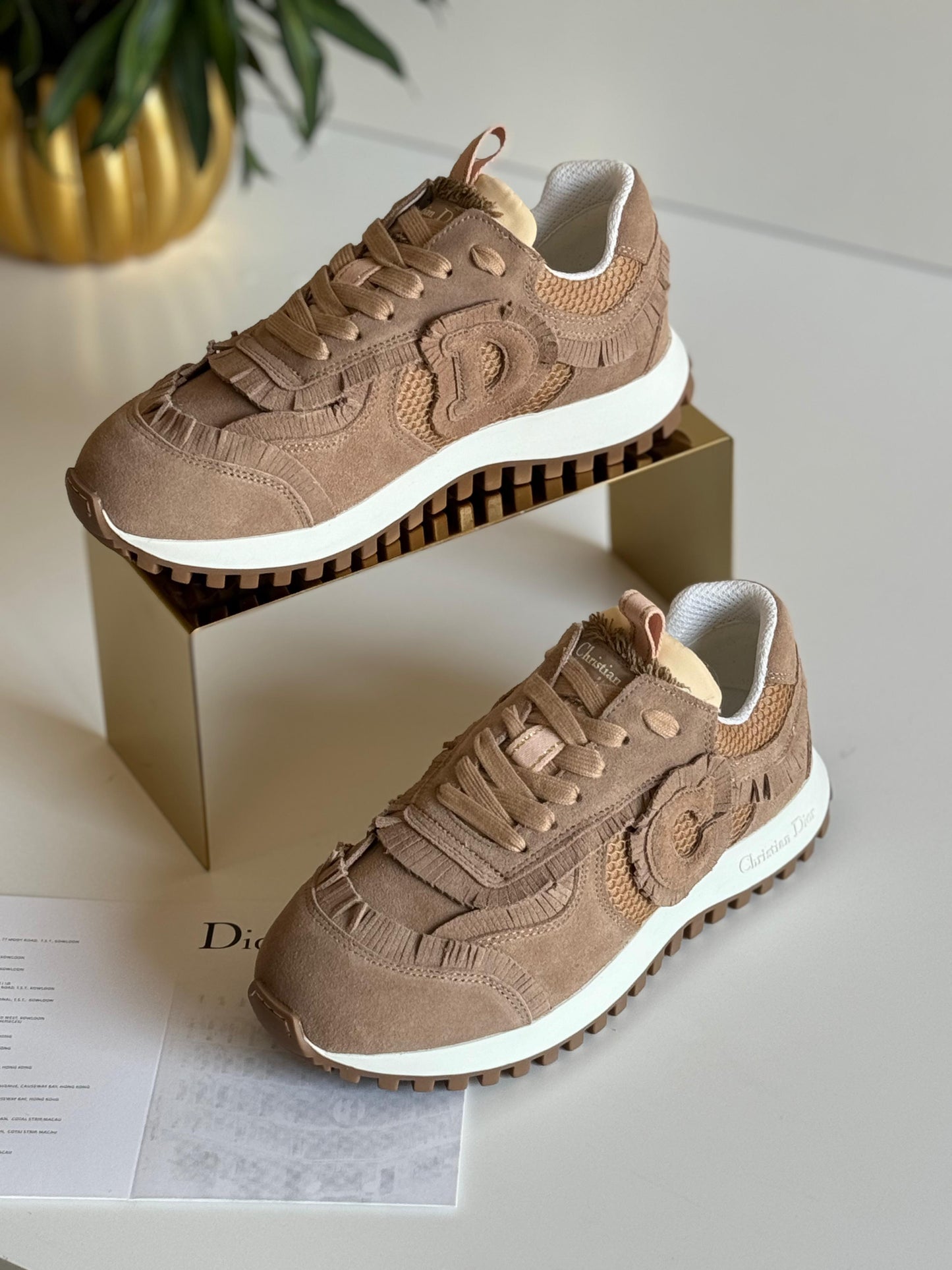 Dior sneakers