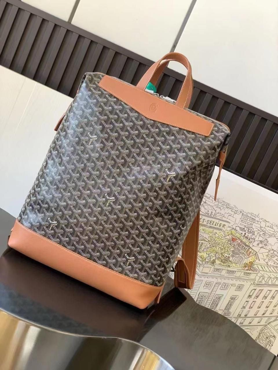 Goyard bag - backpack