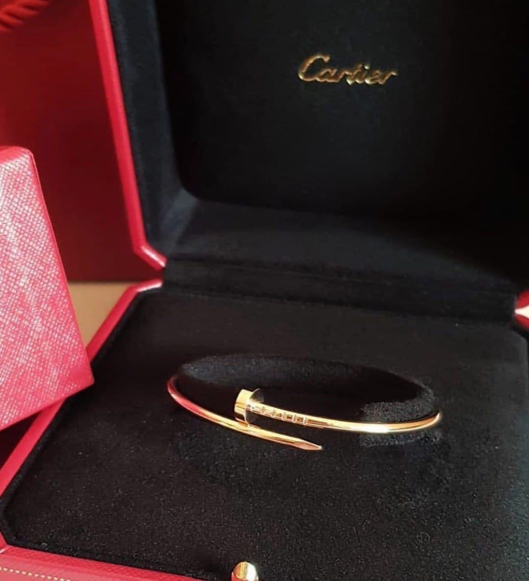 Catier bangle - pin bangle