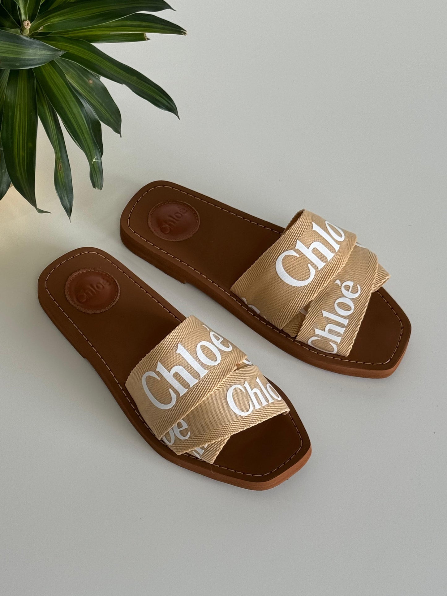 Chloe slippers