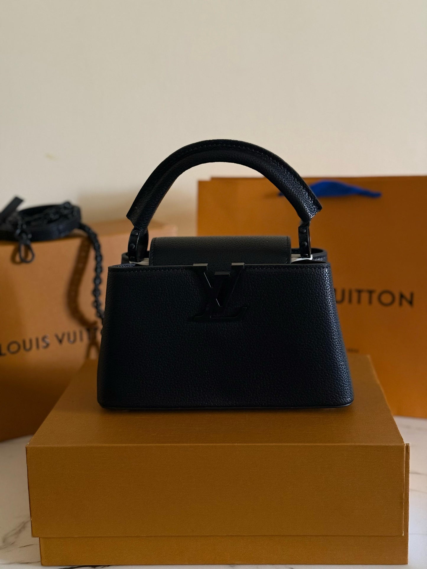 Lv bag capucines