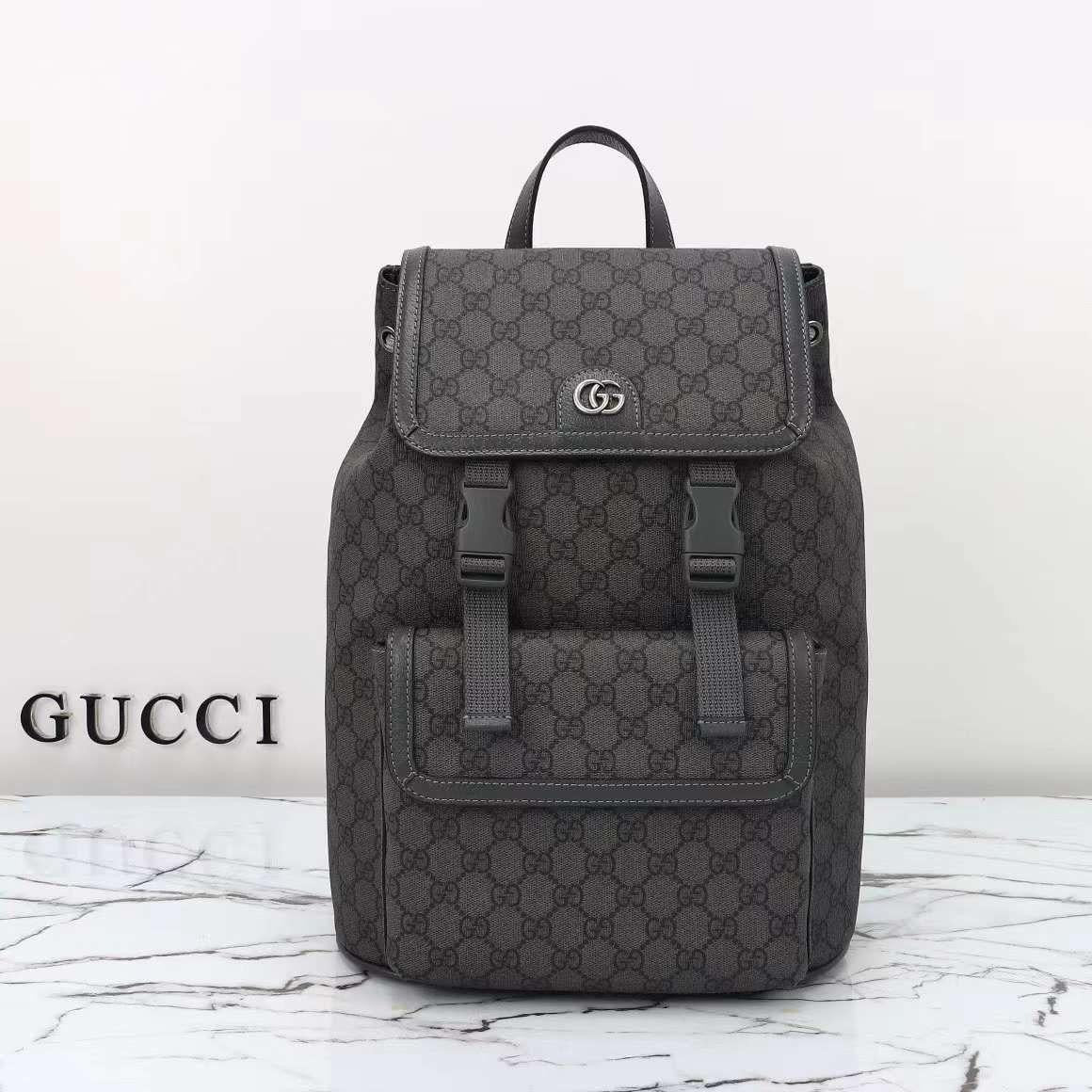 Lv bag - backpack