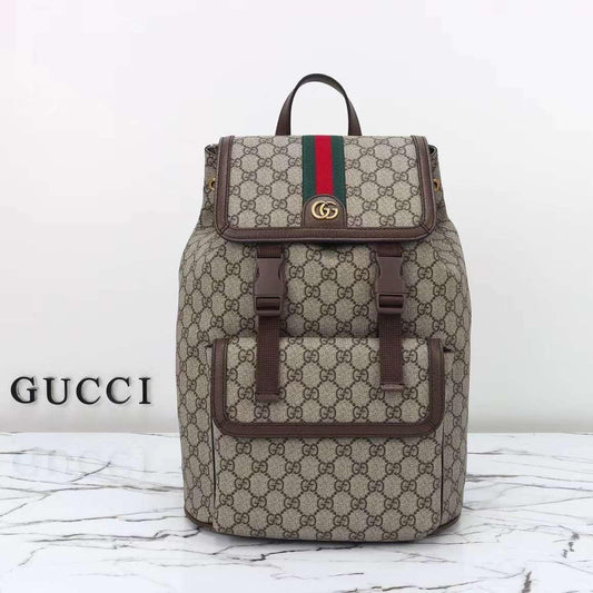 Lv bag - backpack